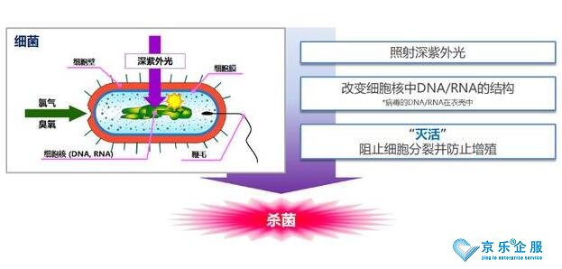 海信中央空調(diào)紫光盾殺菌模塊上市，健康技能加持升級-1